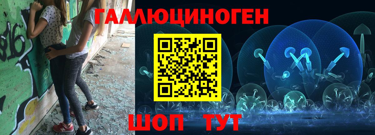 где продают   Псилоцибиновые грибы GOLDEN TEACHER  Вход с VPN  Псилоцибиновые грибы мухоморы  Балтийск 